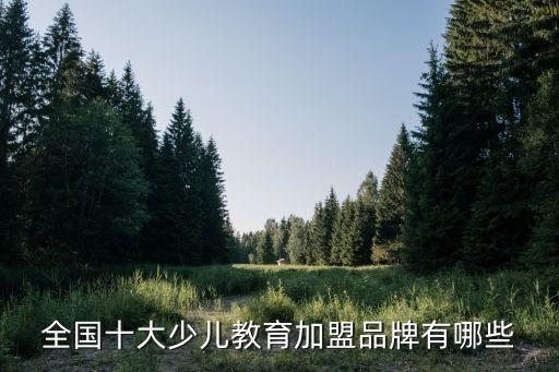 全国十大少儿教育加盟品牌有哪些