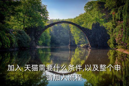 加入 天猫需要什么条件,以及整个申请加入流程
