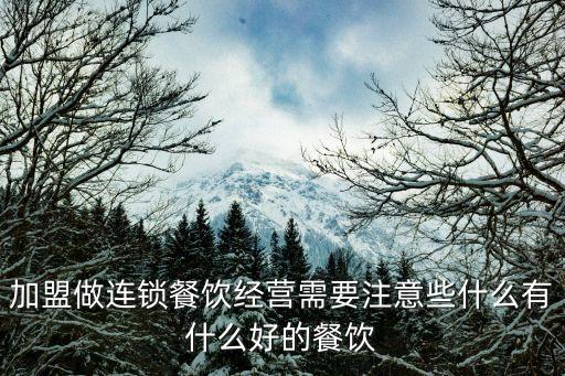 东营热干面小吃加盟费用,热干面凉皮等小吃加盟