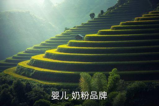 婴儿 奶粉品牌