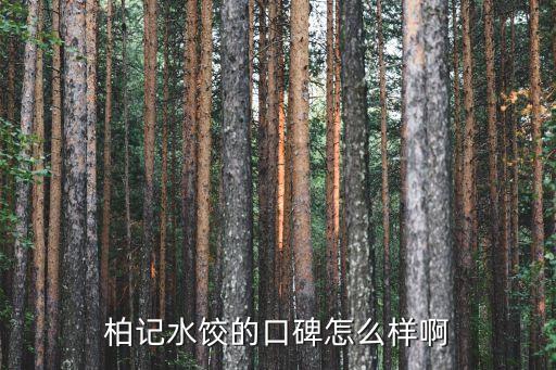 柏记水饺的口碑怎么样啊