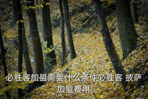 必胜客加盟需要什么条件必胜客 披萨加盟费用