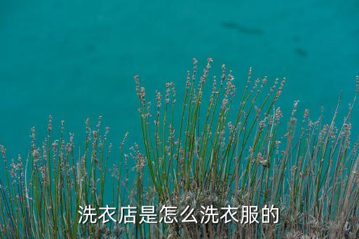 洗衣店是怎么洗衣服的