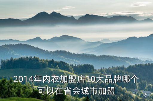 2014年内衣加盟店10大品牌哪个可以在省会城市加盟