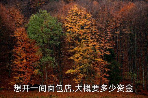 想开一间面包店,大概要多少资金
