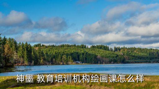  神墨 教育培训机构绘画课怎么样