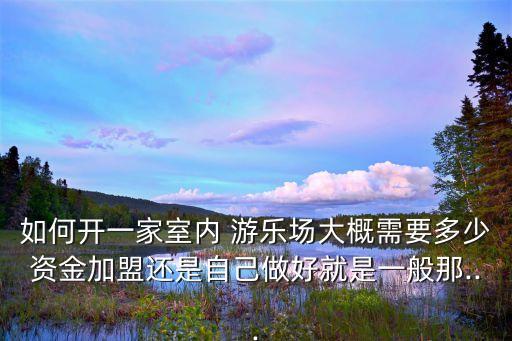 如何开一家室内 游乐场大概需要多少资金加盟还是自己做好就是一般那...