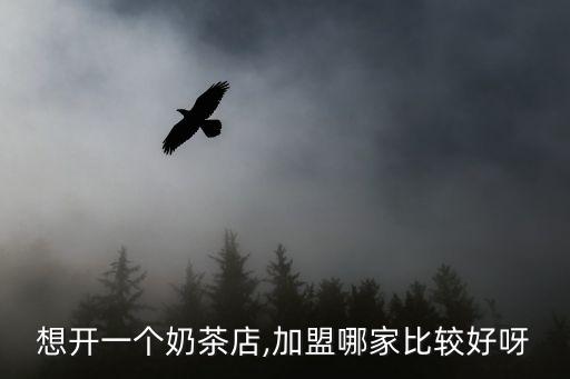 想开一个奶茶店,加盟哪家比较好呀