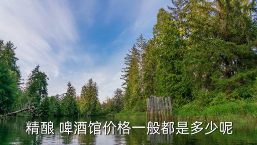  精酿 啤酒馆价格一般都是多少呢