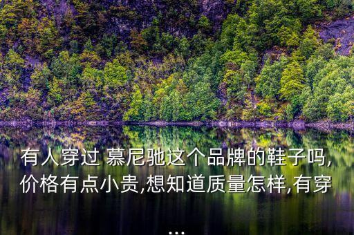 有人穿过 慕尼驰这个品牌的鞋子吗,价格有点小贵,想知道质量怎样,有穿...