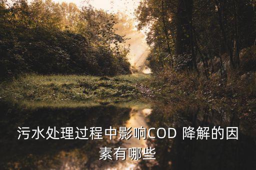 污水处理过程中影响COD 降解的因素有哪些