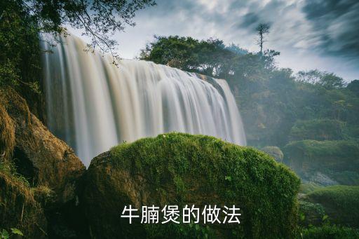  牛腩煲的做法