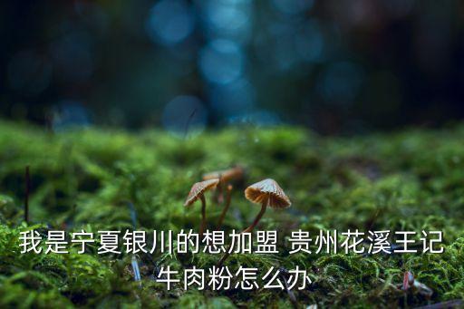 我是宁夏银川的想加盟 贵州花溪王记 牛肉粉怎么办