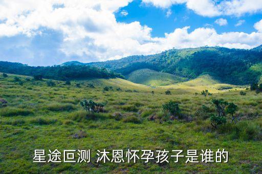星途叵测 沐恩怀孕孩子是谁的