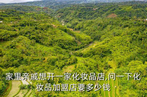 家里亲戚想开一家化妆品店,问一下化妆品加盟店要多少钱