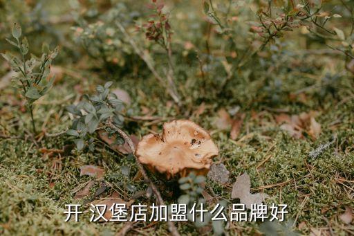 开 汉堡店加盟什么品牌好