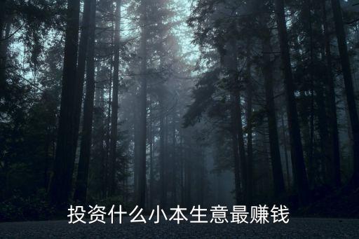 投资什么小本生意最赚钱