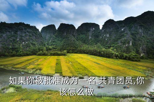 共青团加盟费