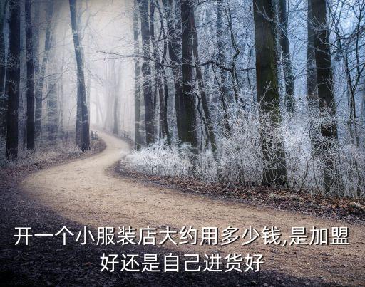开一个小服装店大约用多少钱,是加盟好还是自己进货好