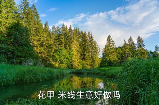 花甲 米线生意好做吗