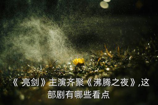旺季亮剑加盟费