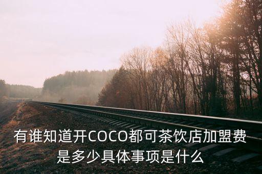 有谁知道开COCO都可茶饮店加盟费是多少具体事项是什么