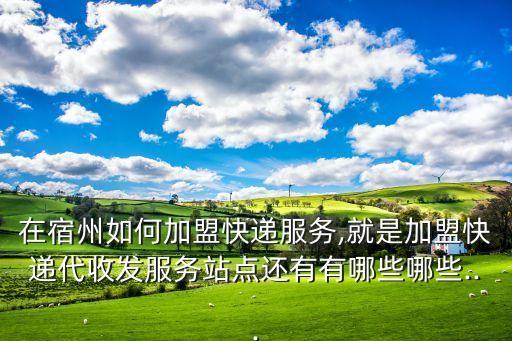 在宿州如何加盟快递服务,就是加盟快递代收发服务站点还有有哪些哪些...
