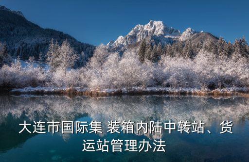  大连市国际集 装箱内陆中转站、货运站管理办法