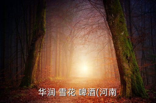华润 雪花 啤酒(河南