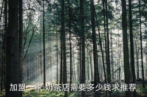 加盟一家 奶茶店需要多少钱求推荐