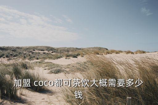 coco 奶茶加盟费多少