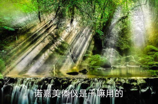 诺嘉美体仪是干嘛用的