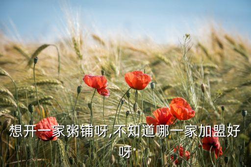 想开一家粥铺呀,不知道哪一家加盟好呀