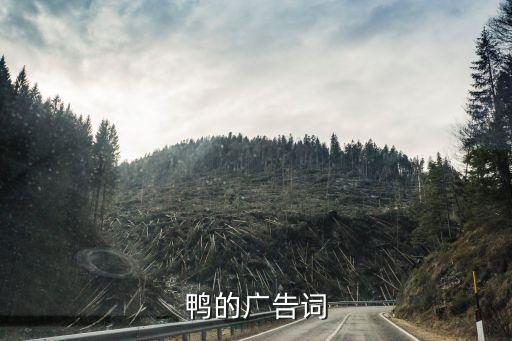 鸭的广告词