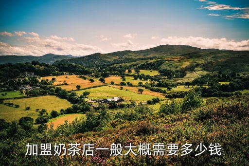加盟奶茶店一般大概需要多少钱