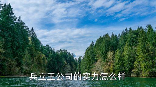 兵立王公司的实力怎么样