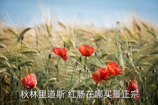 秋林里道斯 红肠在哪买最正宗