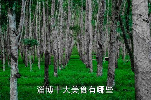 淄博十大美食有哪些