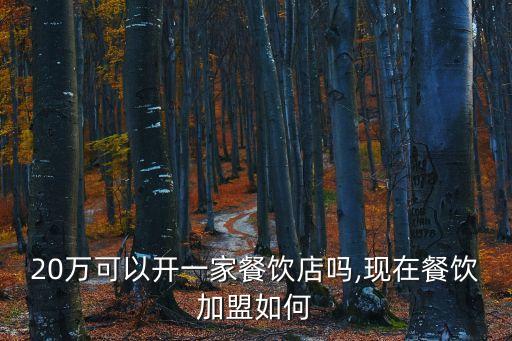 20万可以开一家餐饮店吗,现在餐饮加盟如何