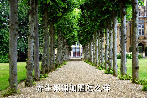 养生粥铺加盟怎么样