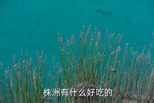  株洲有什么好吃的
