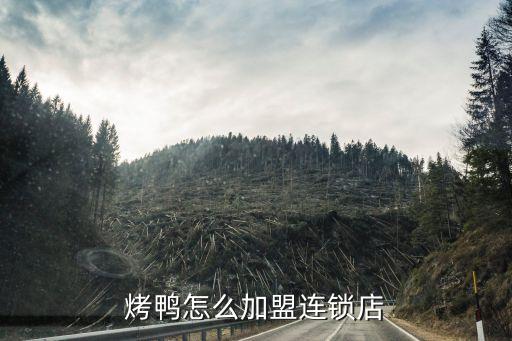 合肥找鸭找加盟费多少,合肥嘎嘎鸭下巴加盟费