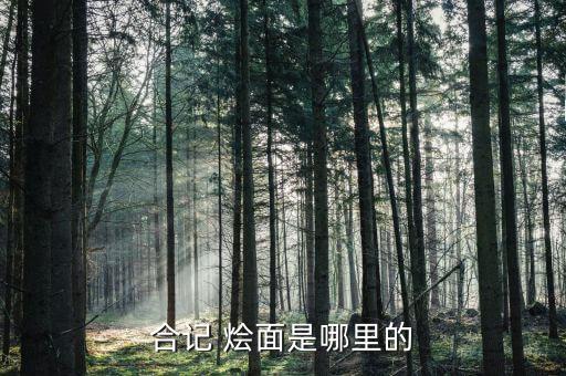 深圳丁记烩面加盟费用,丁记烩面深圳所有分店