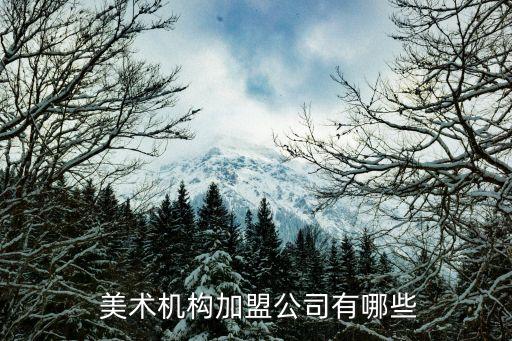 犀牛国际儿童美术加盟费,犀牛绘儿童美术怎么样