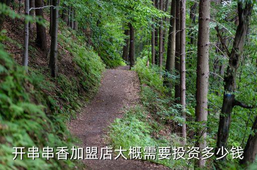 开串串香加盟店大概需要投资多少钱