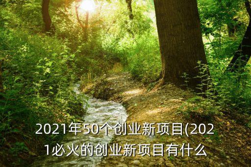 2021年50个创业新项目(2021必火的创业新项目有什么
