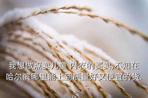 我想做点卖儿童 内衣的买卖,不知在哈尔滨哪里能上到质量好又便宜的货...