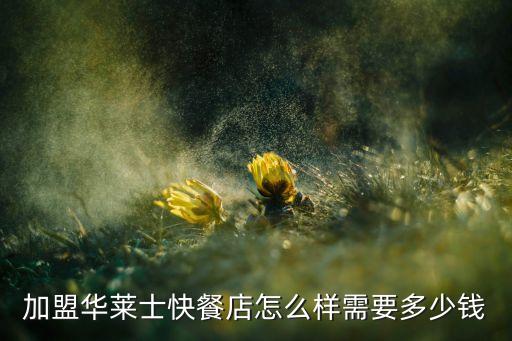 精致快餐馆加盟费用多少钱