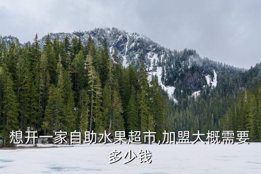 河北社交新零售加盟费用
