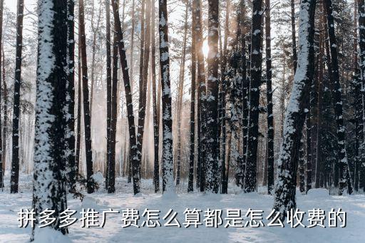 拼多多推广费怎么算都是怎么收费的